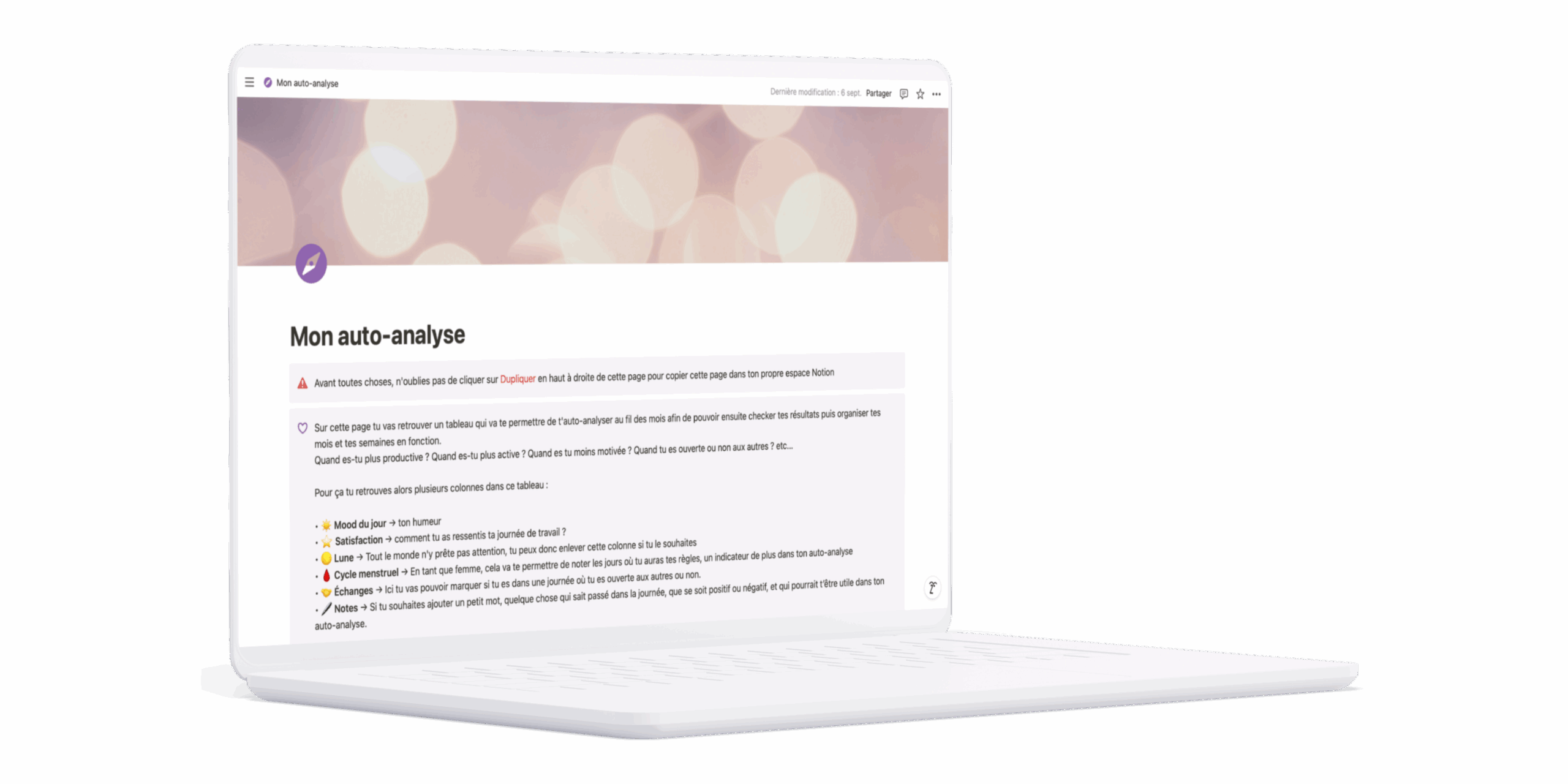 Freebie - Mon auto analyse - template Notion