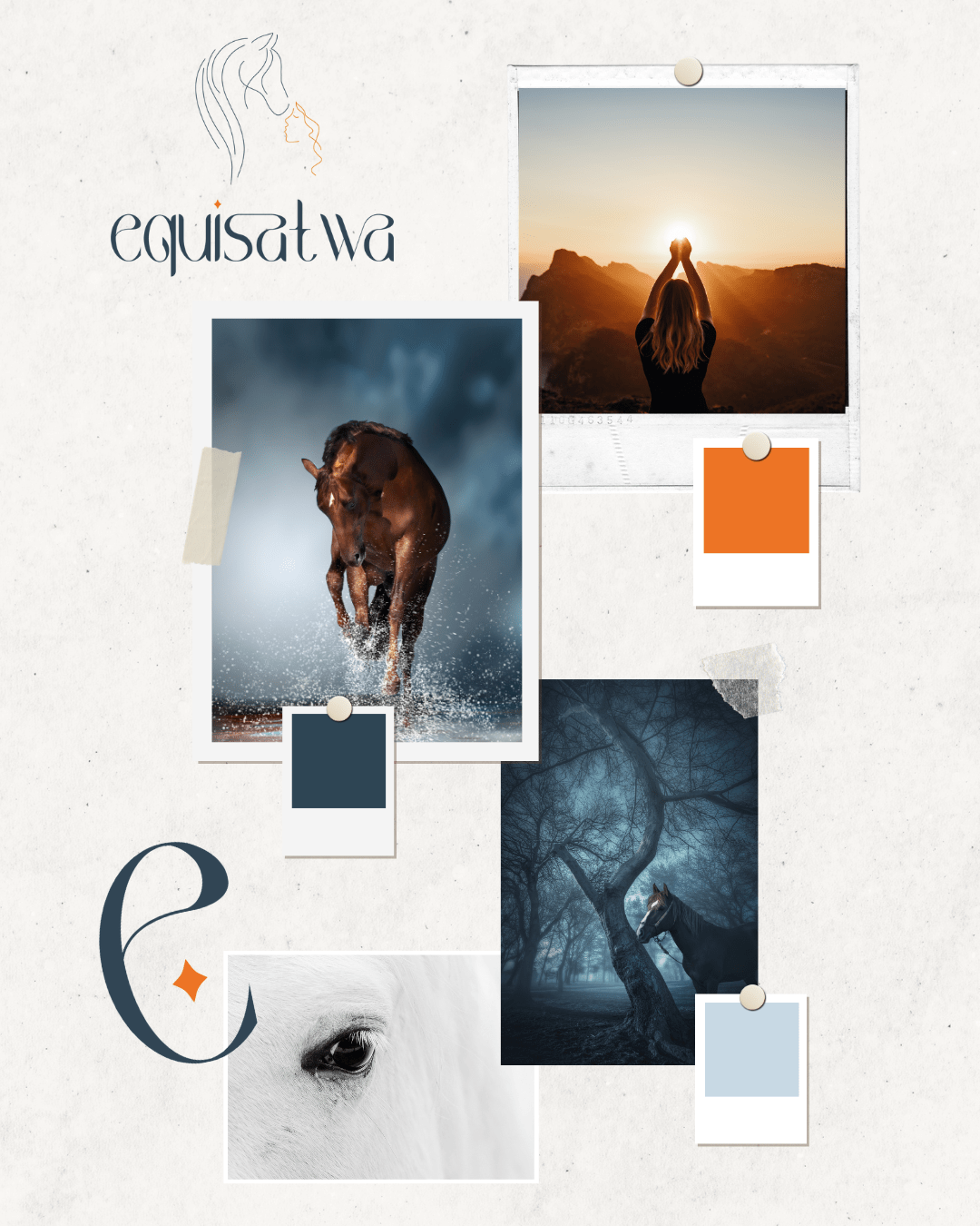 Equisatwa - identite visuelle brandboard