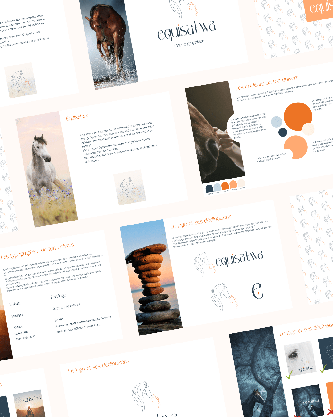 Equisatwa - identite visuelle